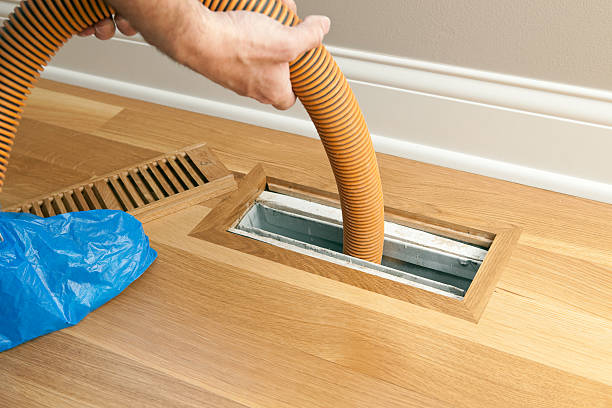 Best Commercial Air Duct Cleaning  in Grayvle, IL