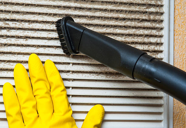 Best Ductwork Cleaning Services  in Grayvle, IL